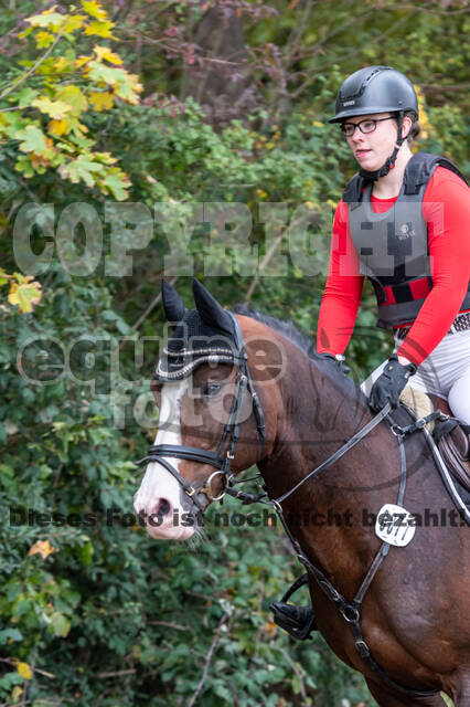 Goldene Schärpe 2020 - Pferde