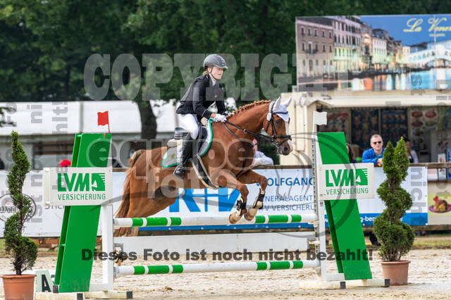 Goldene Schärpe 2021 - Ponys