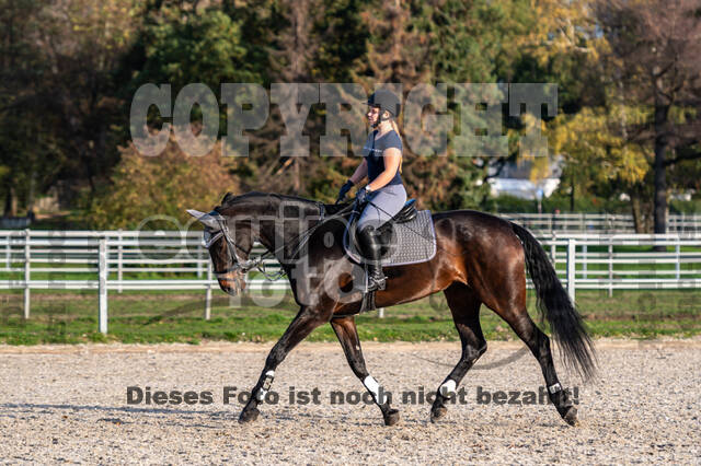 IGV Lehrgang der Sieger der Cups mit Frank Ostholt