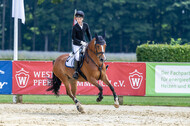 Goldene Schärpe 2021 - Ponys