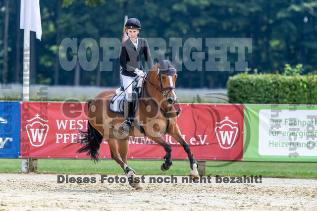 Goldene Schärpe 2021 - Ponys