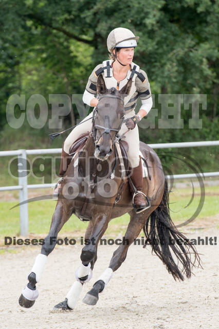 Eventing im Pferdesportzentrum Rheinland
