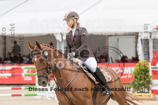 FEI European Championship Eventing 2017