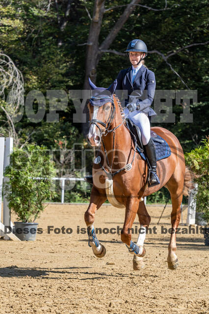 RFV Dinslaken-Hiesfeld (Herbstturnier)