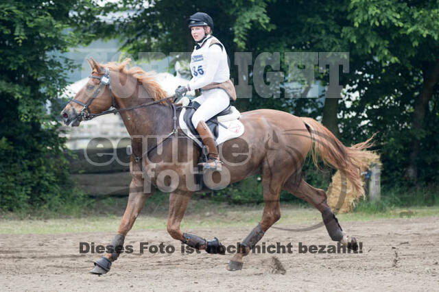 Vielseitigkeitsturnier ZRFV von Lützow Hamminkeln
