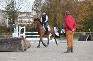 IGV Lehrgang der Sieger der Cups mit Frank Ostholt