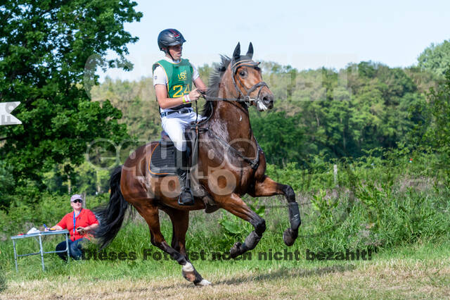 Westerstede Horse Trials (10.-13.06.2021)