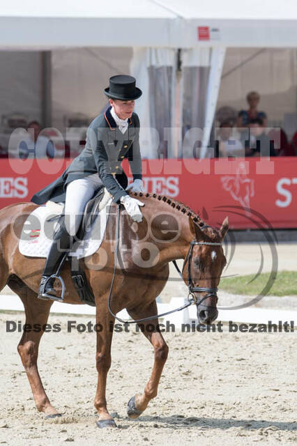 FEI European Championship Eventing 2017