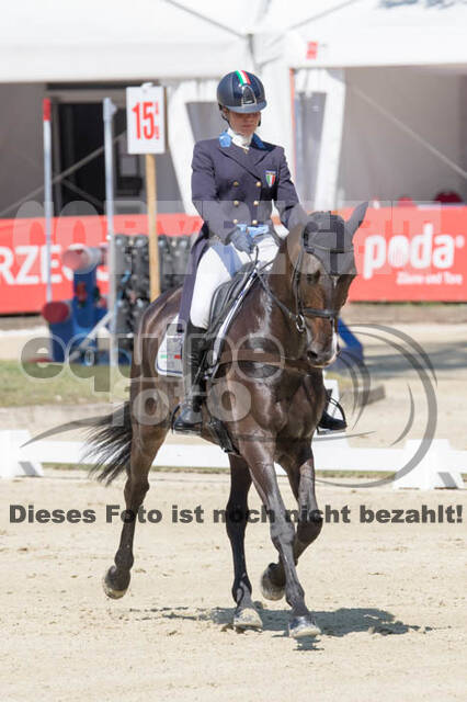 FEI European Championship