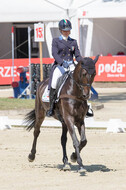 FEI European Championship