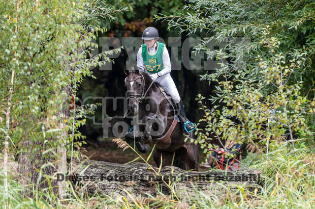 Vielseitigkeit RSV Wesel Obrighoven (26.+27.09.2020)