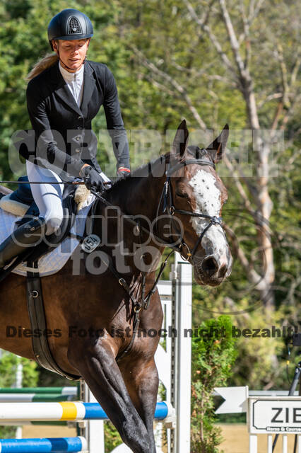 RFV Dinslaken-Hiesfeld (Herbstturnier)