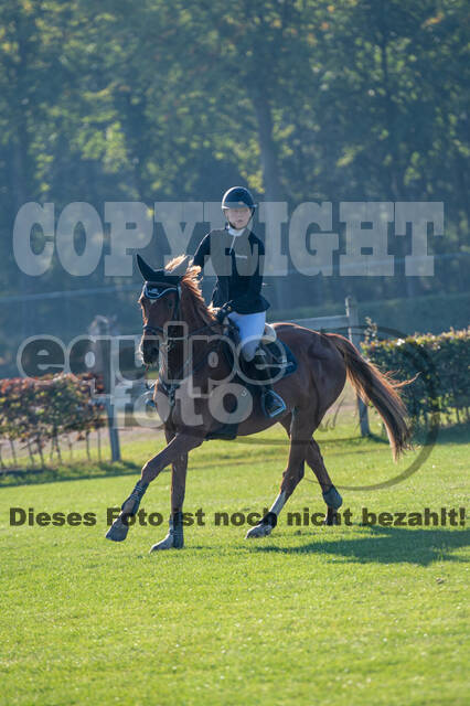De Peelbergen (August 2020)