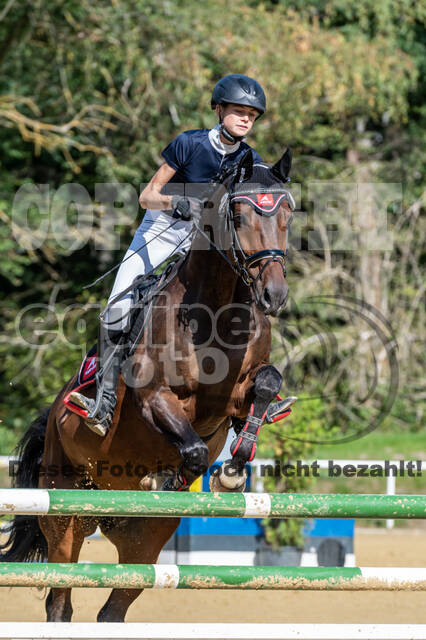 RFV Dinslaken-Hiesfeld (Herbstturnier)