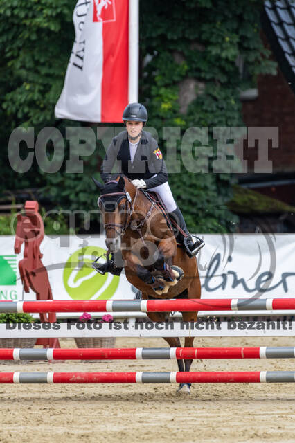 Goldene Schärpe 2021 - Ponys