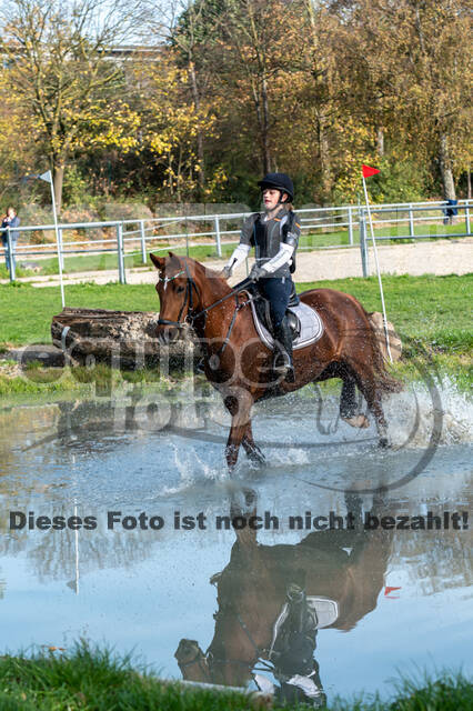IGV Lehrgang der Sieger der Cups mit Frank Ostholt