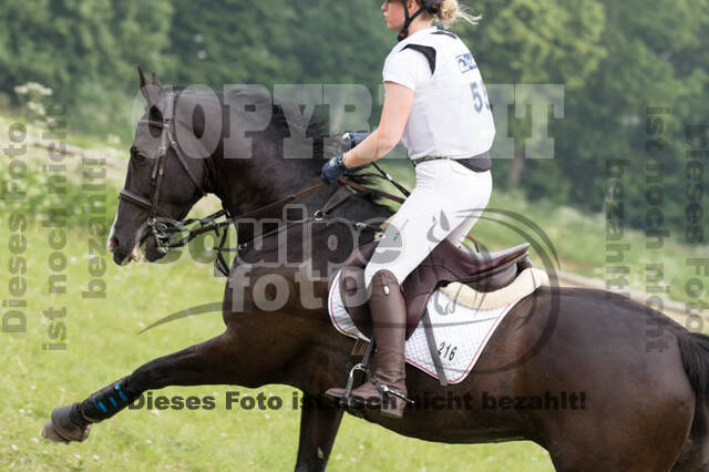 Vielseitigkeitsturnier ZRFV von Lützow Hamminkeln
