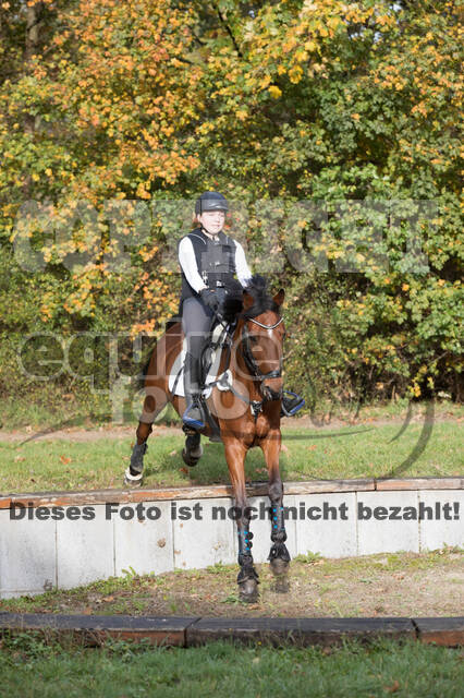 IGV Lehrgang der Sieger der Cups mit Frank Ostholt