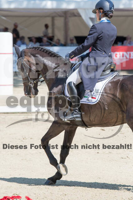 FEI European Championship