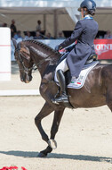 FEI European Championship