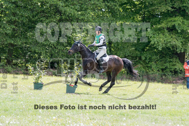 Sterne über Münster 2019 - CCI***S