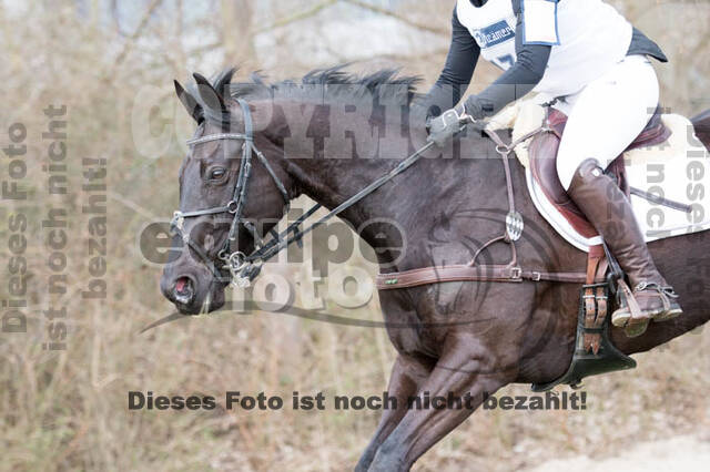 Eventing Langenfeld 2018