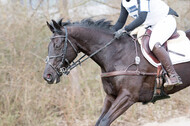 Eventing Langenfeld 2018