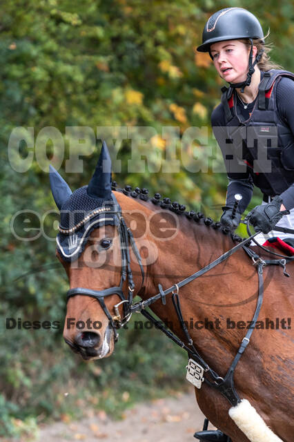 Goldene Schärpe 2020 - Pferde