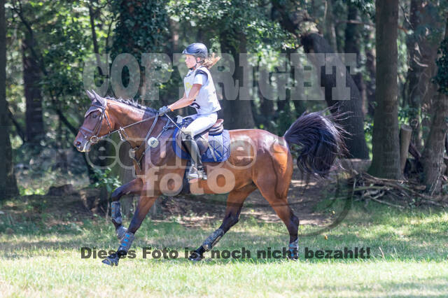 Late-Entry Vielseitigkeit Hamminkeln/Wesel (01.+02.08.2020)