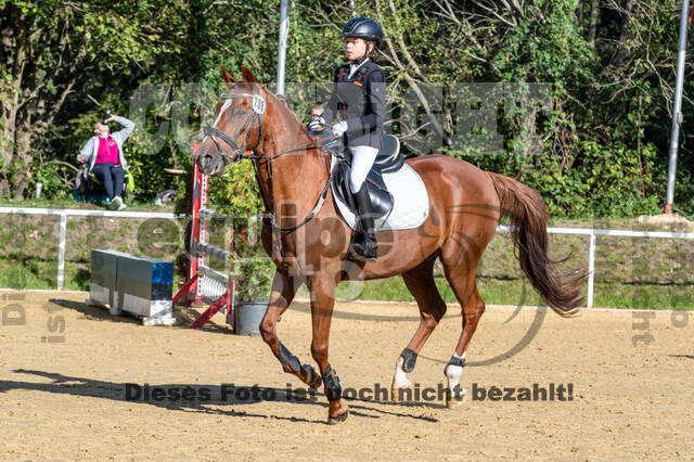 RFV Dinslaken-Hiesfeld (Herbstturnier)