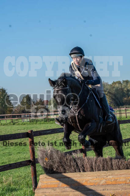 Vielseitigkeitslehrgang mit Jürg Kurbel (9.+10.11.2019)