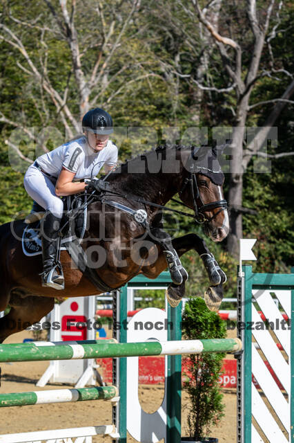 RFV Dinslaken-Hiesfeld (Herbstturnier)