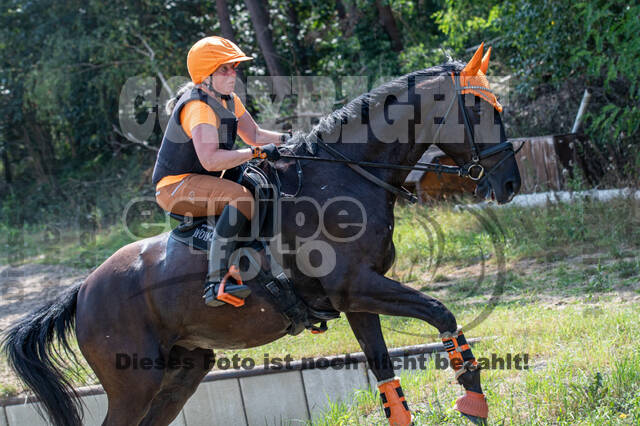 Hunter Geländetraining (16.08.2020)