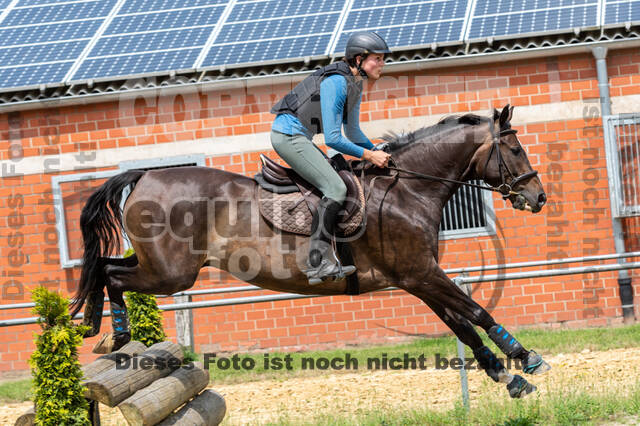 Hunter Geländetraining 10.07.2021 (Sonsbeck)