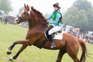 Vielseitigkeitsturnier ZRFV von Lützow Hamminkeln