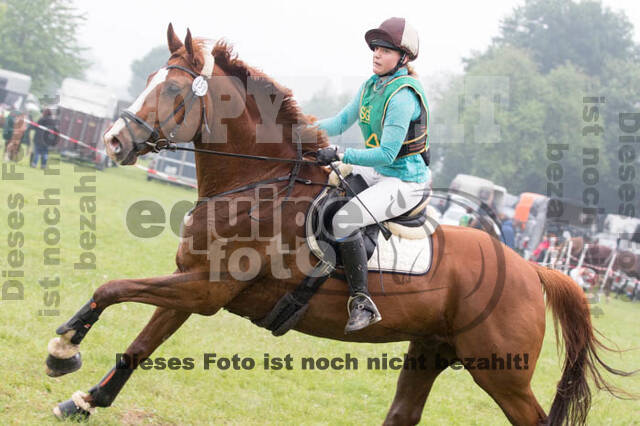 Vielseitigkeitsturnier ZRFV von Lützow Hamminkeln