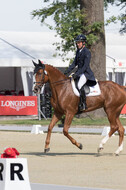 FEI European Championship Eventing 2017