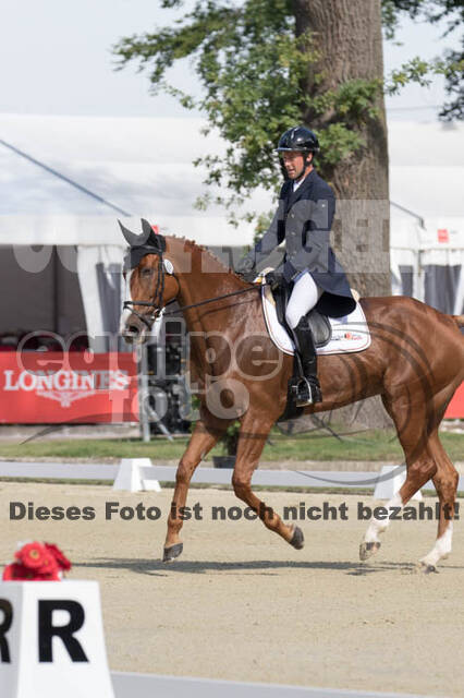 FEI European Championship Eventing 2017