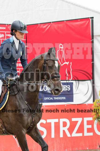 FEI European Championship