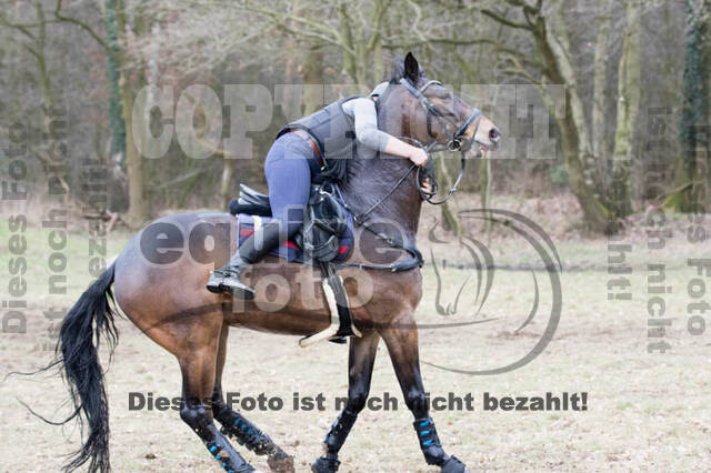 Geländetrainings RSV St. Hubertus Wesel Obrighoven