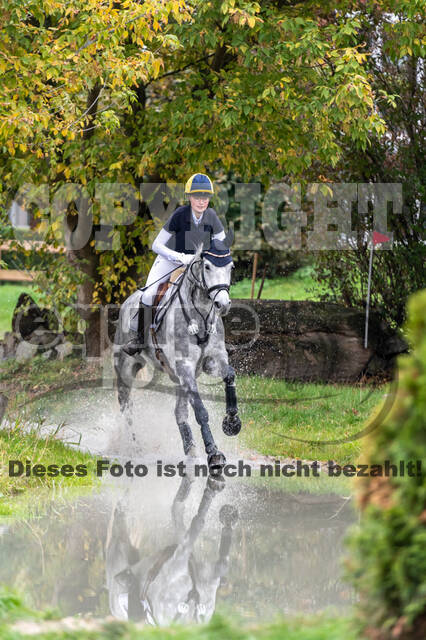 Goldene Schärpe 2020 - Pferde