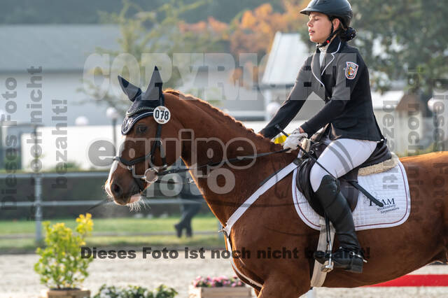 Goldene Schärpe 2020 - Pferde