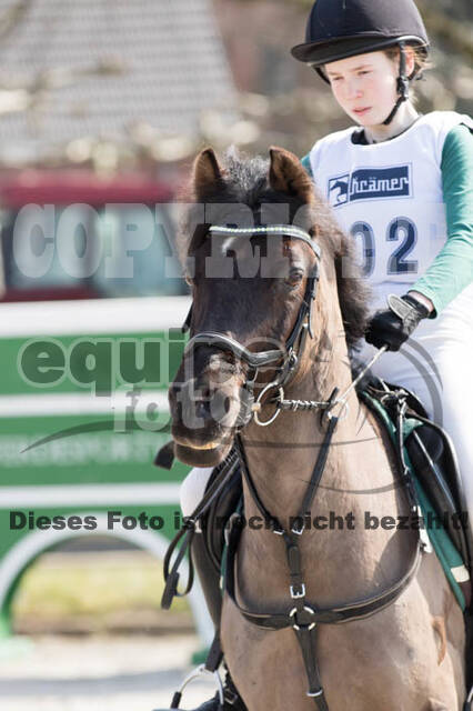 Eventing Langenfeld 2018
