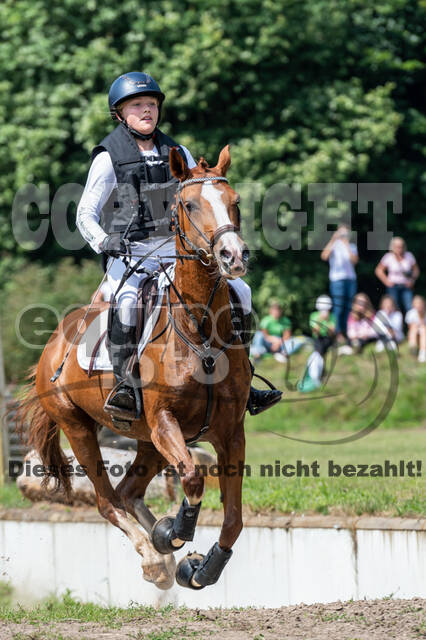 Goldene Schärpe 2021 - Ponys