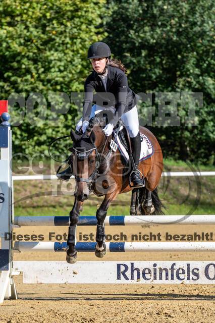 RFV Dinslaken-Hiesfeld (Herbstturnier)