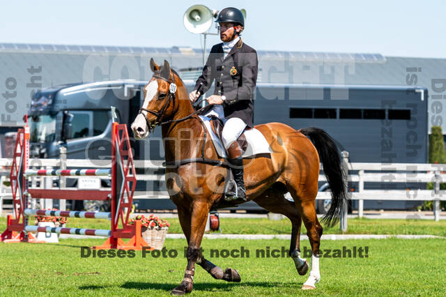 Kronenberg - De Peelbergen (August 2020)