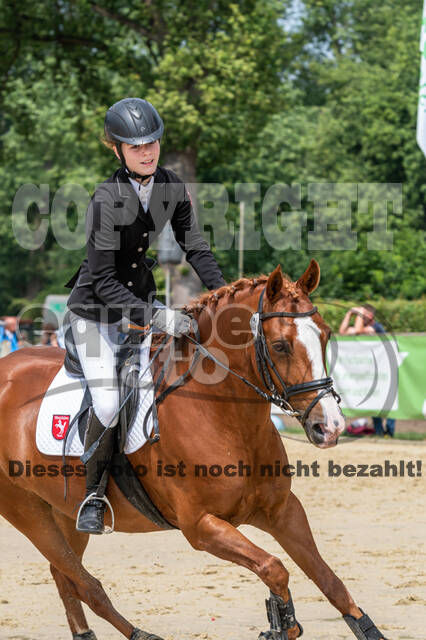 Goldene Schärpe 2021 - Ponys