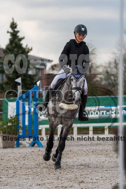 Eventing im Pferdesportzentrum Rheinland (Late Entry 14.03.2022)