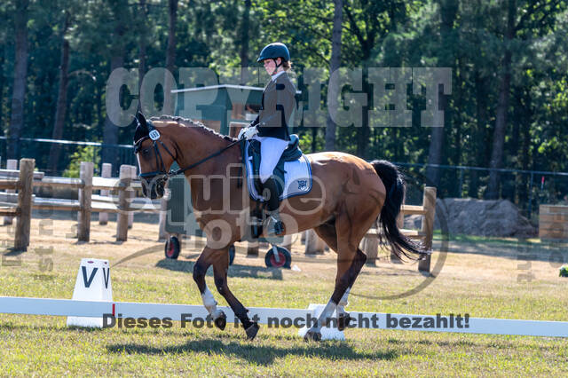 Kronenberg - De Peelbergen (August 2020)