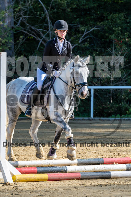 RFV Dinslaken-Hiesfeld (Herbstturnier)